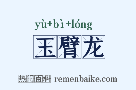 玉臂龙是什么意思的图片
